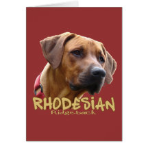 Rhodesian Ridgeback Grußkarte