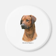 Rhodesian Ridgeback Kühlschrankmagnet