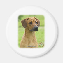 Rhodesian Ridgeback Kühlschrankmagnete