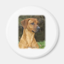 Rhodesian Ridgeback Magnete