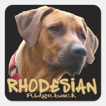 Rhodesian Ridgeback Quadratsticker