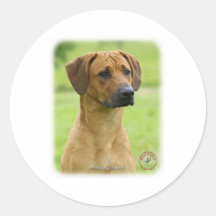 Rhodesian Ridgeback Runder Sticker