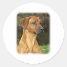 Rhodesian Ridgeback Sticker