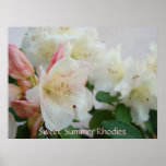 RHODIES weiße Azaleen-Blumen 4 Kunst-Druck-Plakate