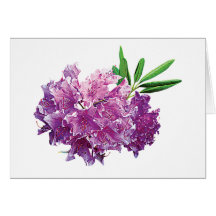 Rhododendren mit Blätter Grußkarte