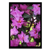 Rhododendron ATC Visitenkartenvorlage