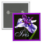 Riesige blaue lila Iris Anstecknadel