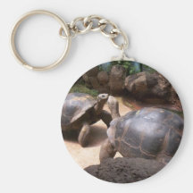 Riesiger Schildkröte-Kuss Schlüsselband