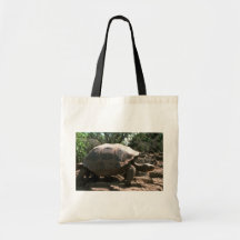 Riesiges kuppelförmiges Schildkröten-Gehen Taschen