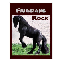 Rind-Felsen-Postkarten