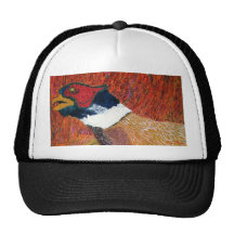 Ring-Hals-Fasan Netz Caps