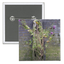 Riverbankwand, die Themse, London Buttons