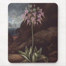 RJ Thornton - das amerikanische Cowslip Mousepads