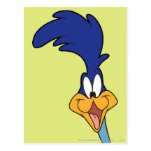 Roadrunner-Gesicht Postkarte