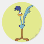Roadrunner in der Farbe Aufkleber
