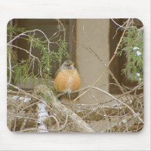 Robin auf Snowy-Wacholderbusch Mauspad