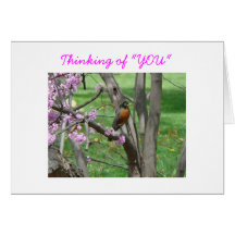Robin u. Redbud, denkend an "SIE", inspirierend Karten