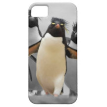 Rockhopper Pinguine iPhone 5 Hülle