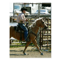 Rodeo-Cowboy zu Pferd Postkarten