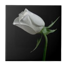 Romantische Rosen-Keramik-Fliese
