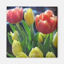 Romantischer roter u. gelber Tulpe-Blumen-Kühlschr