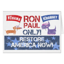 Ron Paul 2012 Karte
