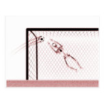 RÖNTGENSTRAHL-SKELETON FUSSBALL-TORMANN-WEISSES RO POSTKARTE
