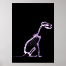 RÖNTGENSTRAHL-WELPEN-HUNDEskelett-SITZEN - LILA Plakatdruck
