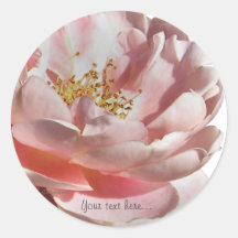 Rosa altmodisches englisches Rosen-Hochzeits-Siege Runder Sticker