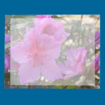 Rosa Azaleen-Blumen-Notizblock notizblöcke