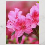 Rosa Azaleen Vollfarbige Flyer