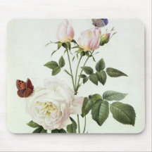Rosa: Bengale das Hymenes Mauspads