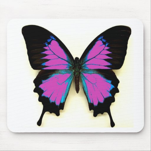 Rosa, blauer und schwarzer Schmetterling Mauspads