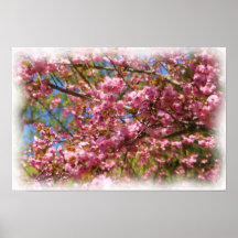 Rosa blüht Watercolor-Foto-Malerei-Blumen-Position Plakat