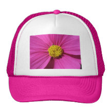 Rosa Blume Kultcaps