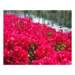 Rosa Blumen Fotografischer Druck