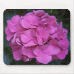 Rosa Blumen Mousepad