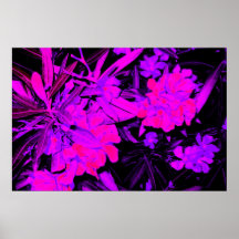 Rosa Blumen-Plakat