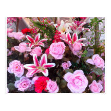 Rosa Blumen und Rosen: Postkarten