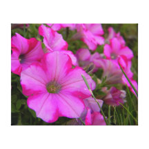 Rosa BlumenLeinwand-Druck Leinwand Drucke