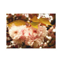 Rosa Blüte Leinwanddruck