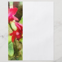 Rosa Cattleya Orchideen Individuelle Flyer