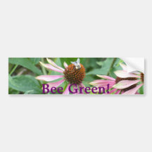 Rosa Coneflower Garten Auto Aufkleber