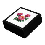 Rosa Dahlien, Kidds Höhepunkt Geschenkbox
