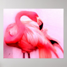 Rosa Flamingo Posterdrucke