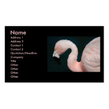 Rosa Flamingo-Visitenkarten