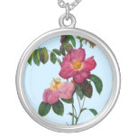 Rosa gallica, Pierre Joseph Redouté Amuletten