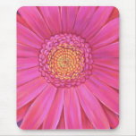 Rosa Gänseblümchen-Blumen-Malerei - Mousepad