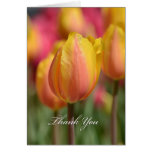 Rosa/gelbe Tulpen Grußkarte