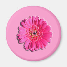 Rosa Gerber Kühlschrankmagnete